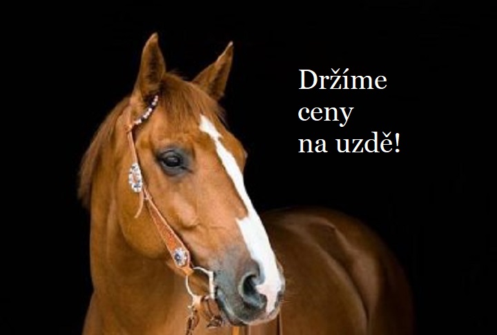 Naše ceny držíme na uzdě!
